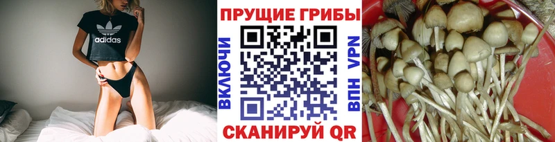 Галлюциногенные грибы Magic Shrooms  Ковдор 