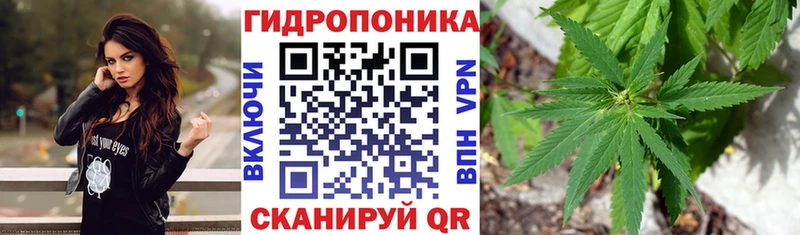 Каннабис AK-47  продажа наркотиков  Ковдор 